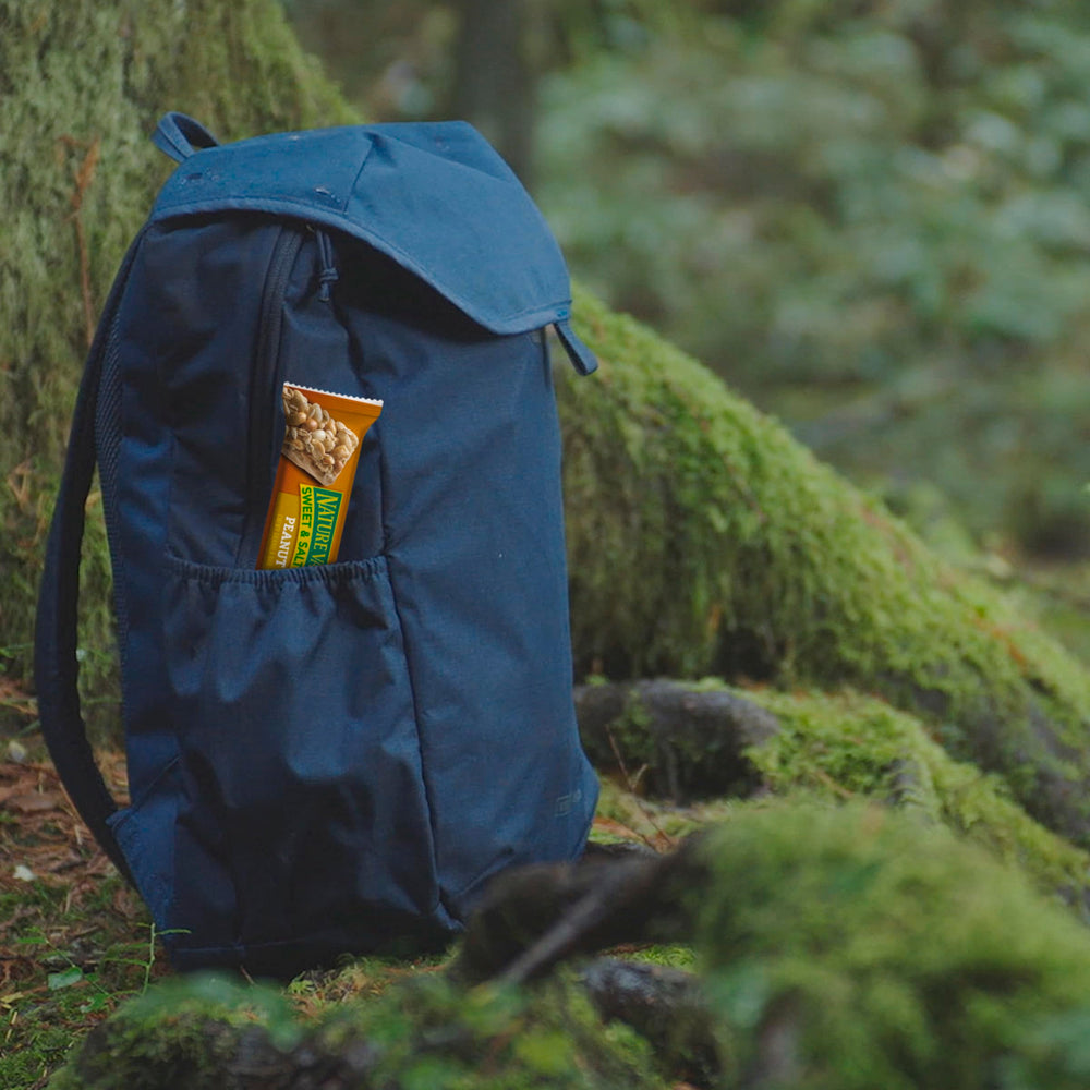 Nature Valley Sweet and Salty Nut bar in lunchbox, easy pantry snack.