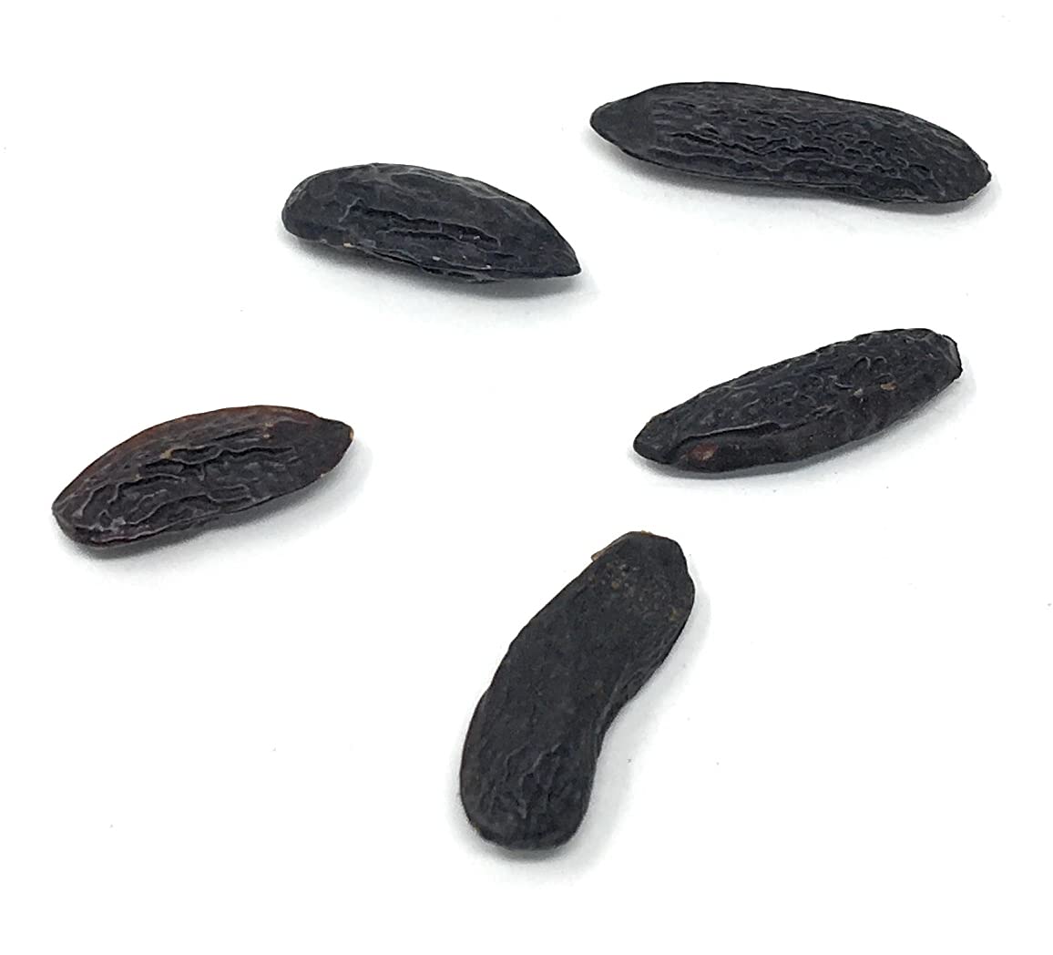 Naturegrail tonka beans in bowl demonstrate versatile flavoring for ice cream and baked goods.