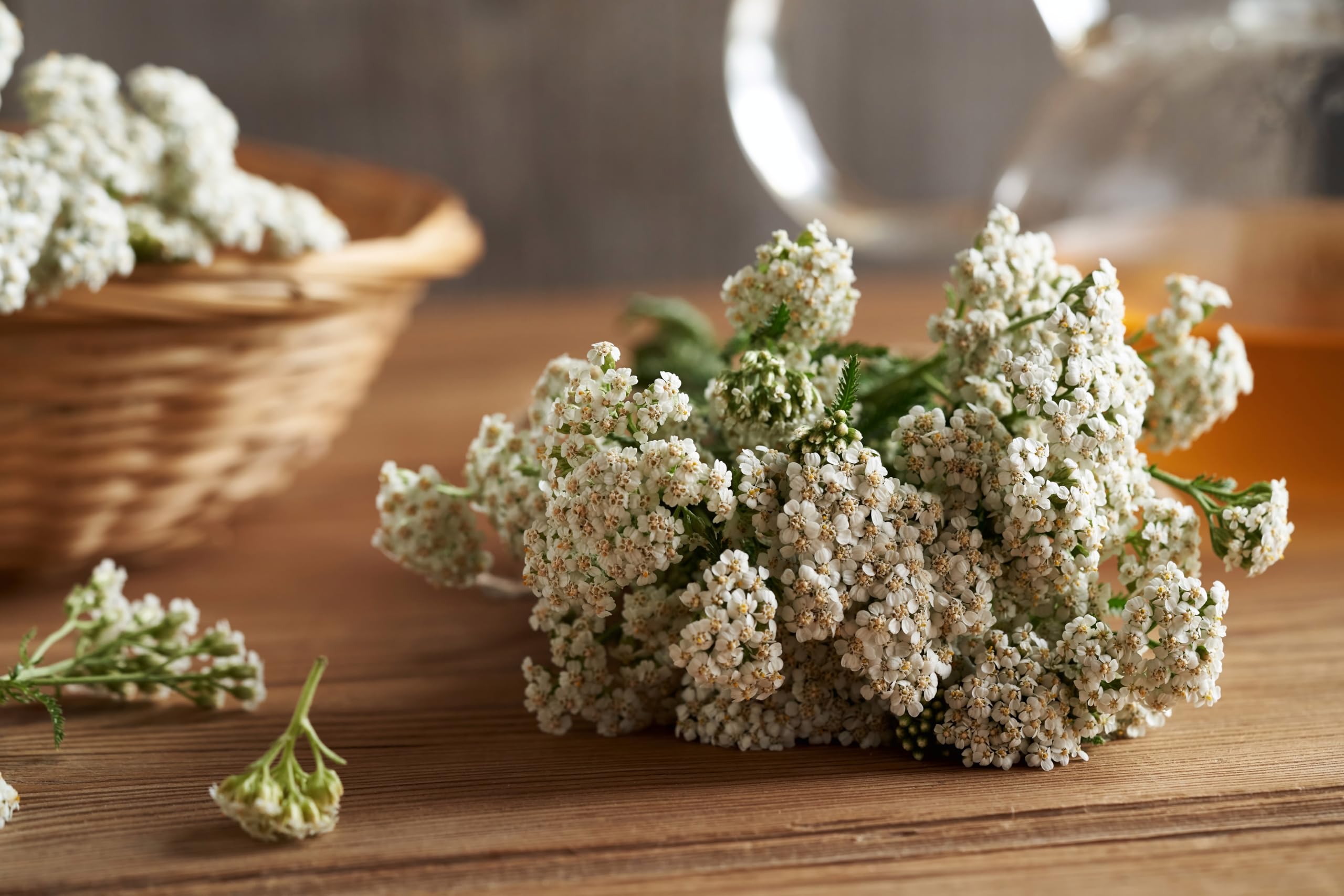 Naturegrail Yarrow Tea dried flowers suitable for loose-leaf infusion