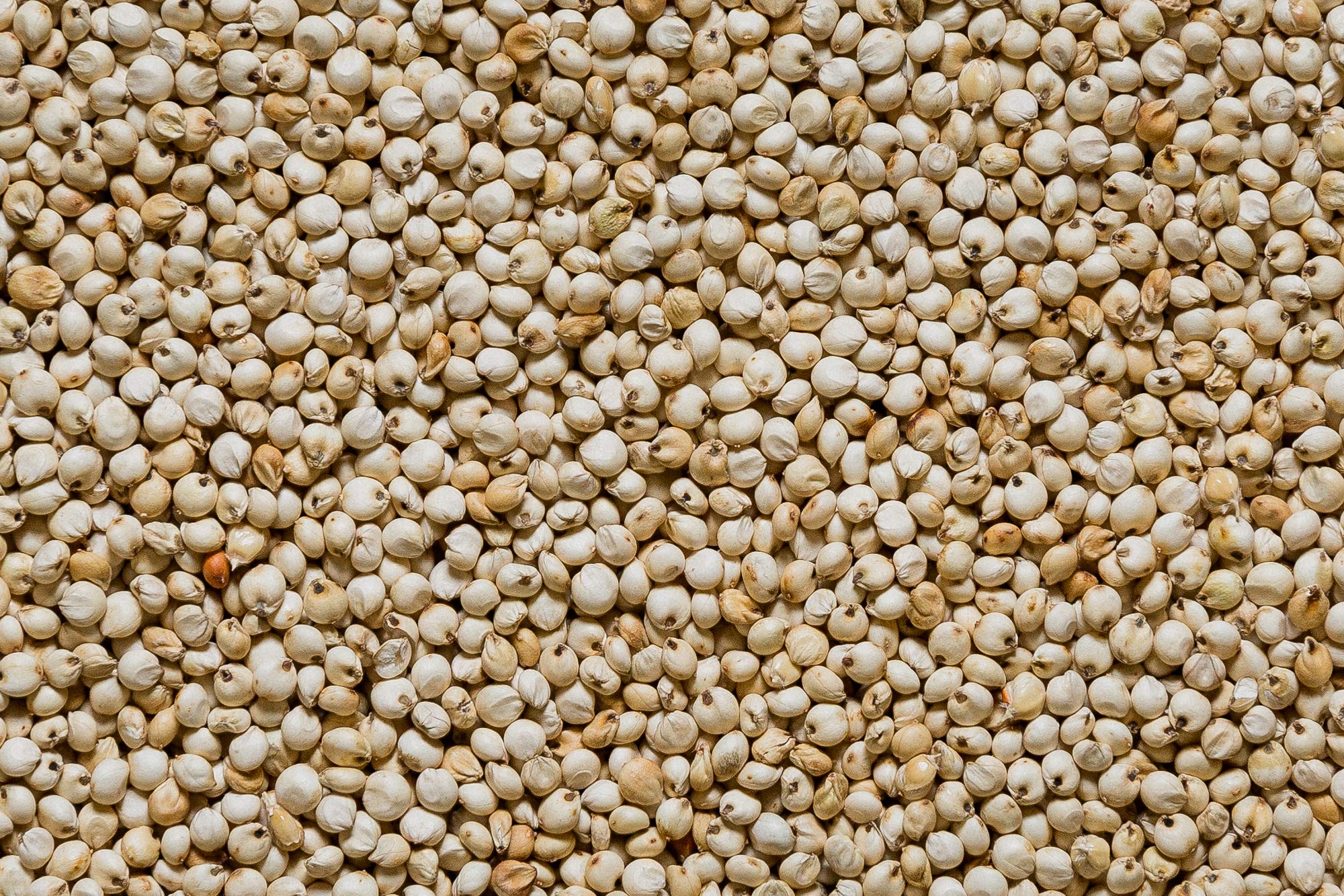 Nature Nate’s organic sorghum bag on the counter, versatile snack grain