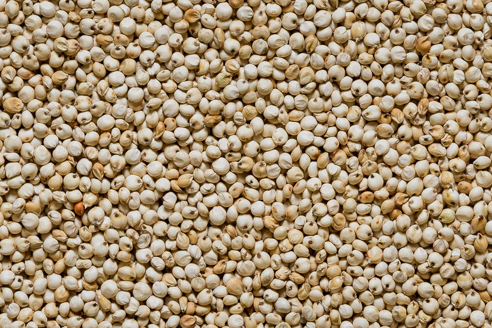 Nature Nate’s organic sorghum bag on the counter, versatile snack grain