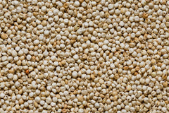 Nature Nate’s organic sorghum bag on the counter, versatile snack grain