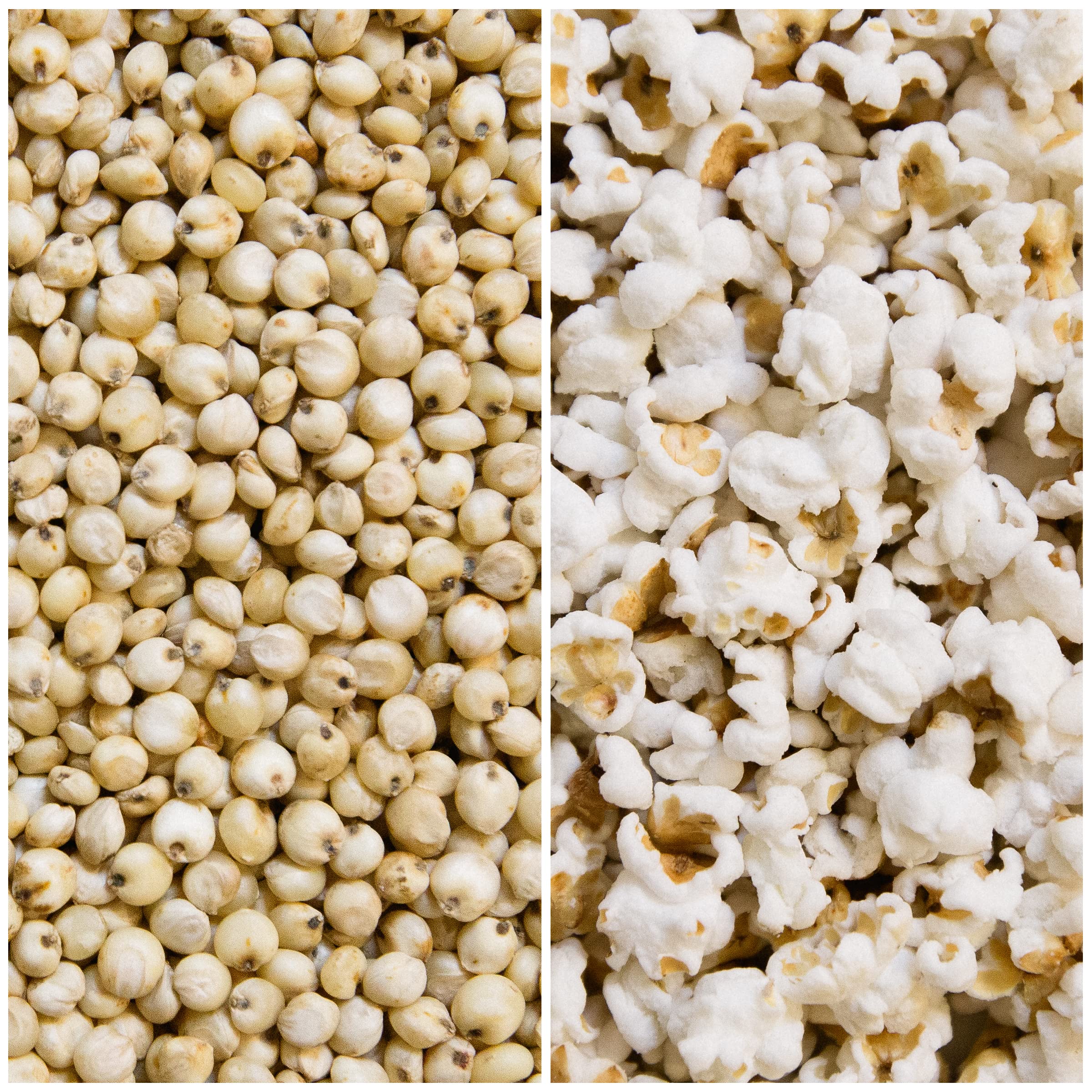 Nature Nate's Extremely Cheezy sorghum aroma hints at a flavorful, cheesy snack.