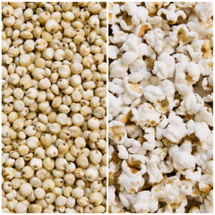 Nature Nate’s popping sorghum in a bowl, light fluffy crunch