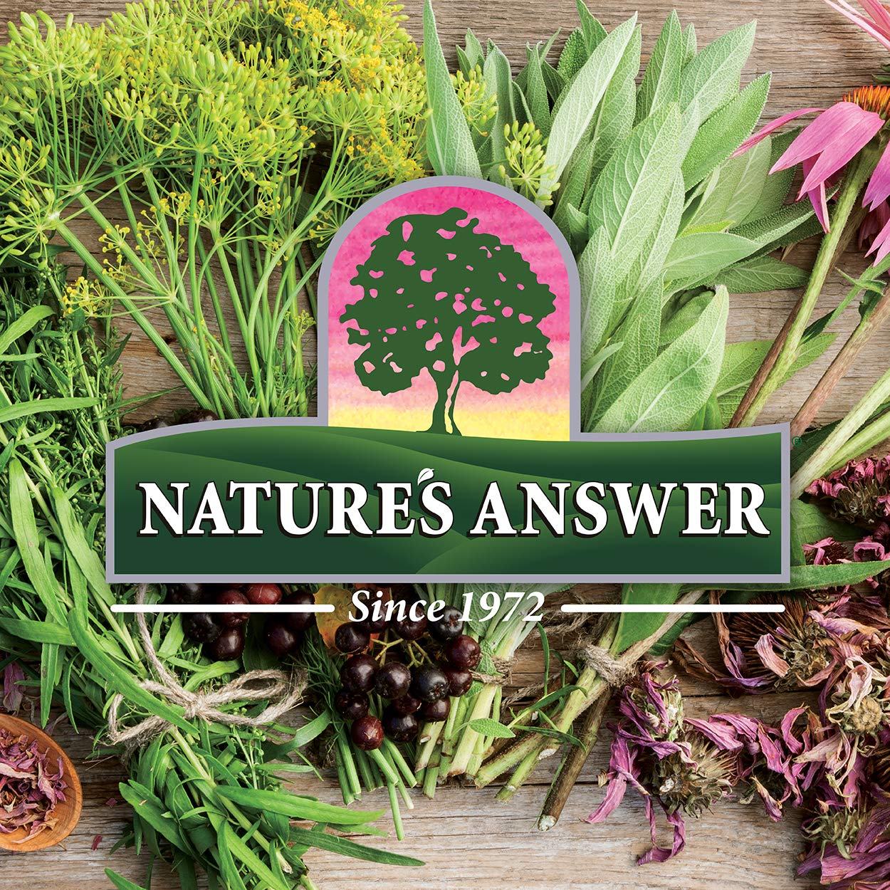 Lifestyle scene with the slippery elm extract in a wellness routine.