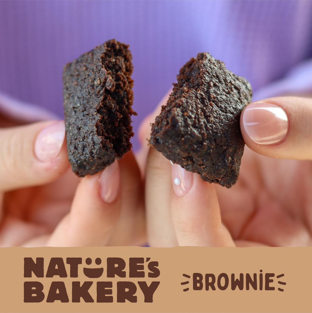 Nature's Bakery single brownie bite showcases date sweetness.