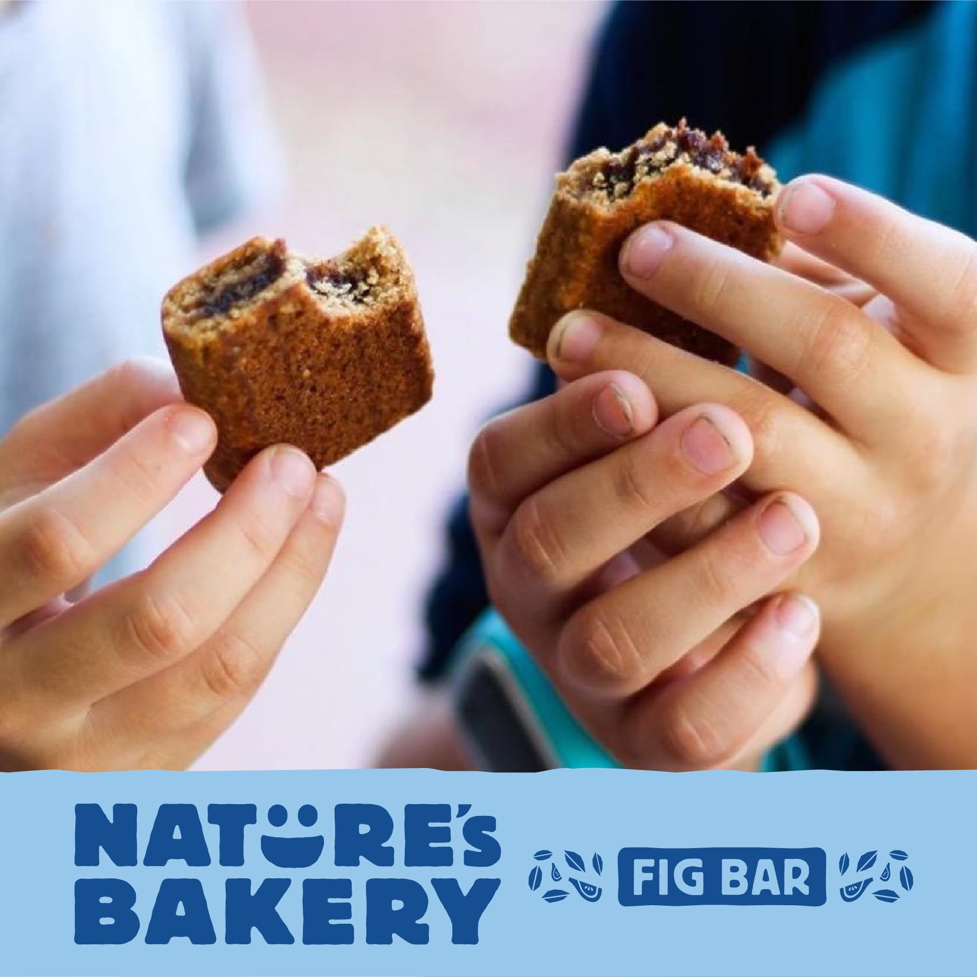 Blueberry fig flavor bundle from Nature's Bakery for everyday energy.