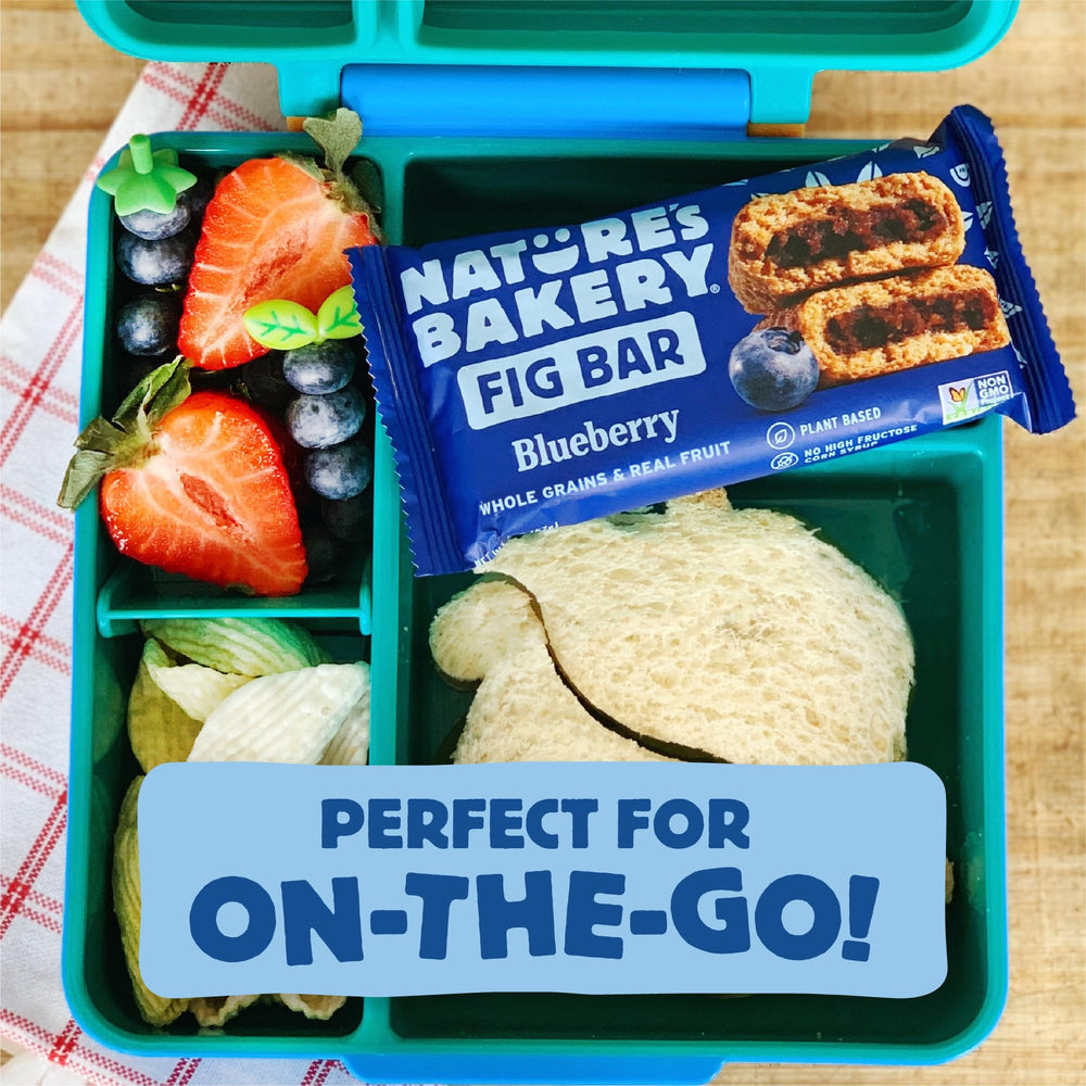 Nut-free facility friendly snack from Nature's Bakery bars.