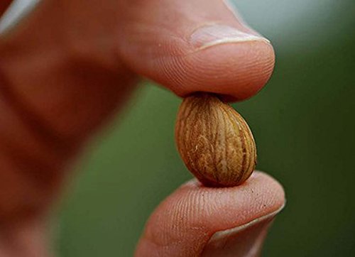 Nature's Choice bags sealed to preserve current year's harvest