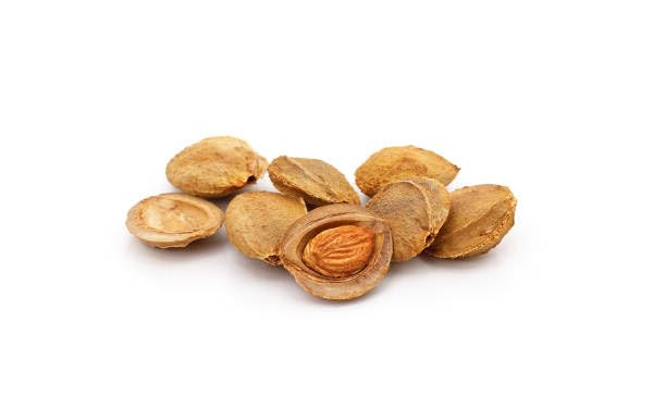 Packaging label emphasizing daily freshness for Nature's Choice apricot seeds