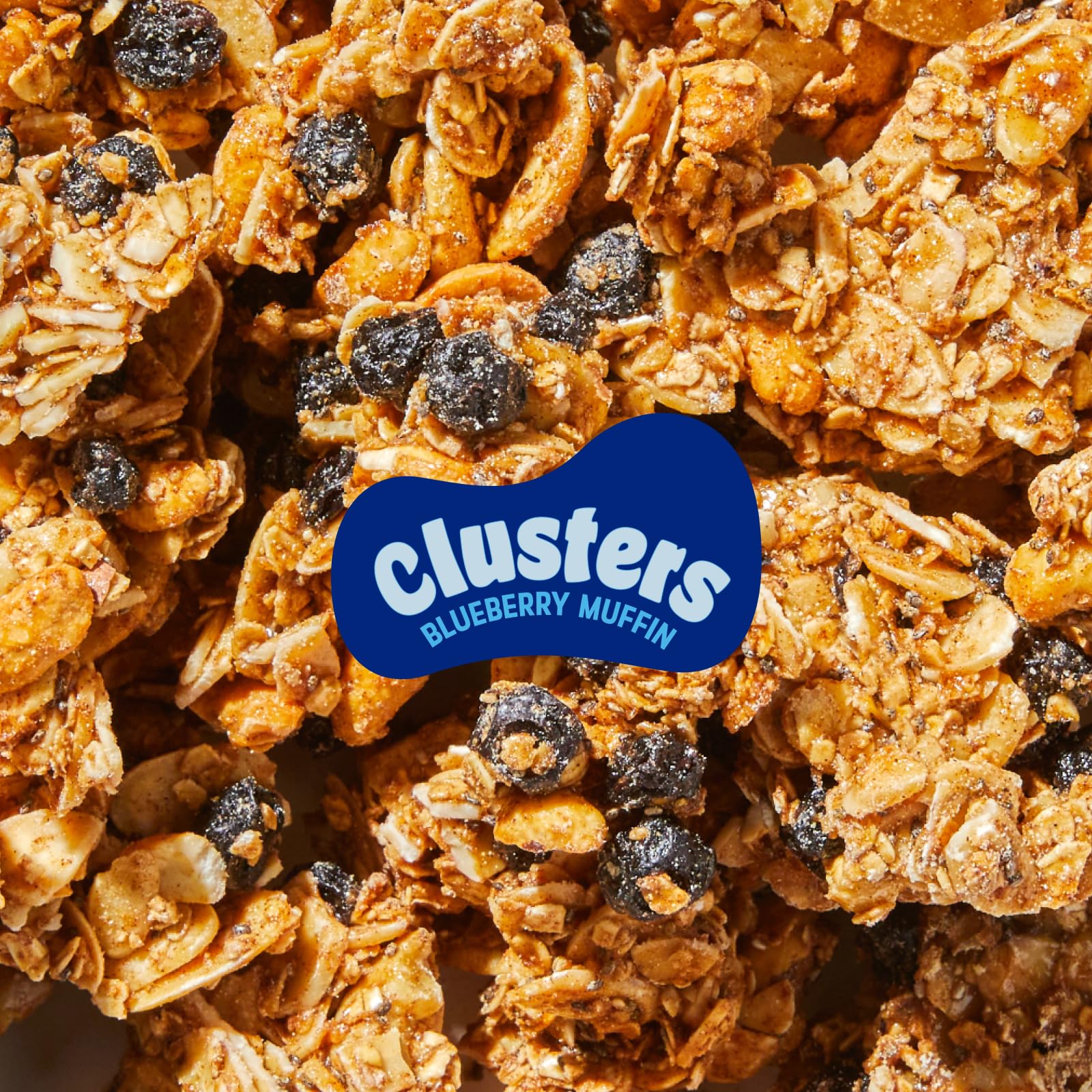 Nature's Garden Blueberry Muffin Clusters with almonds and cashews visible