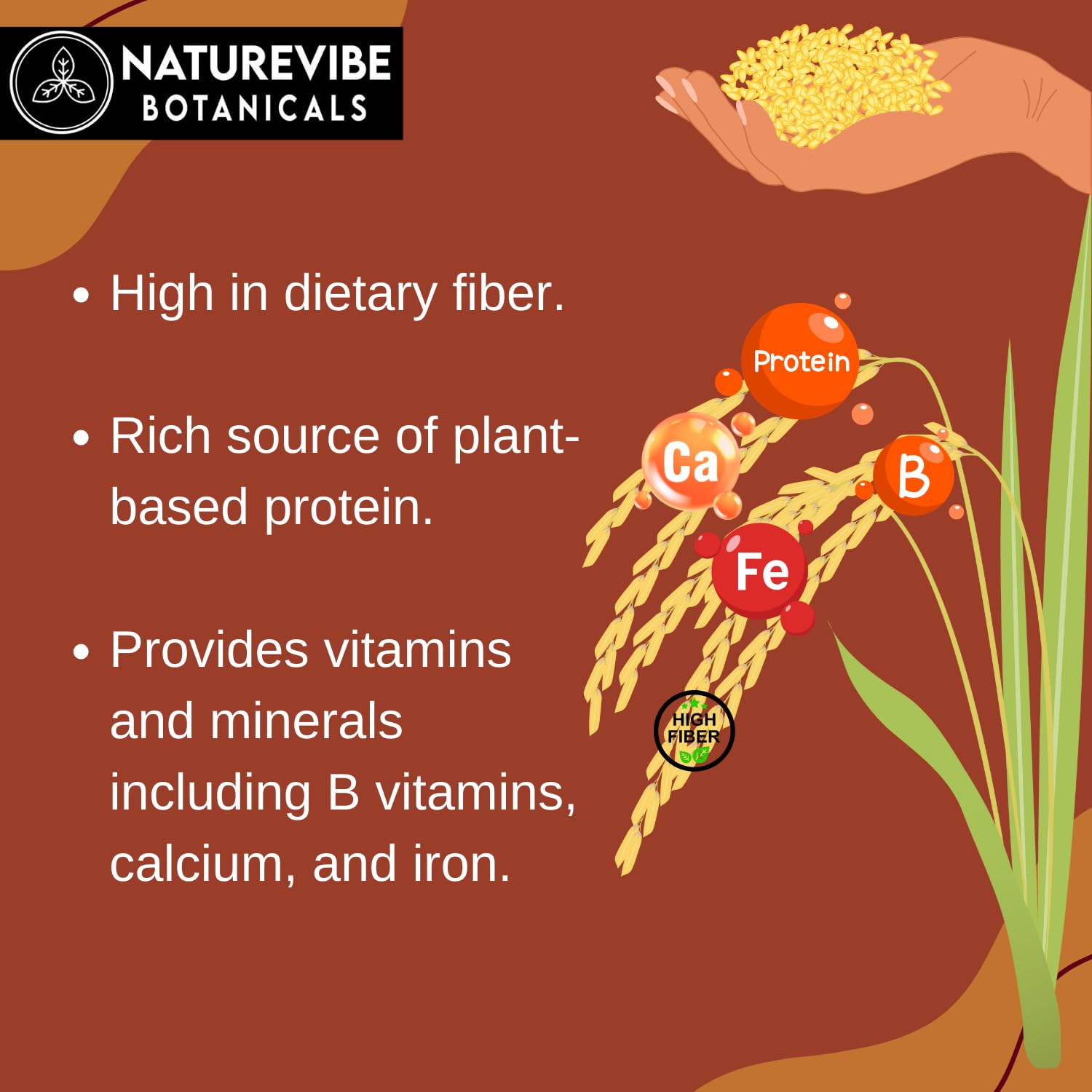 Naturevibe Botanicals Brown Teff Flour milling process showing stone-ground grains.