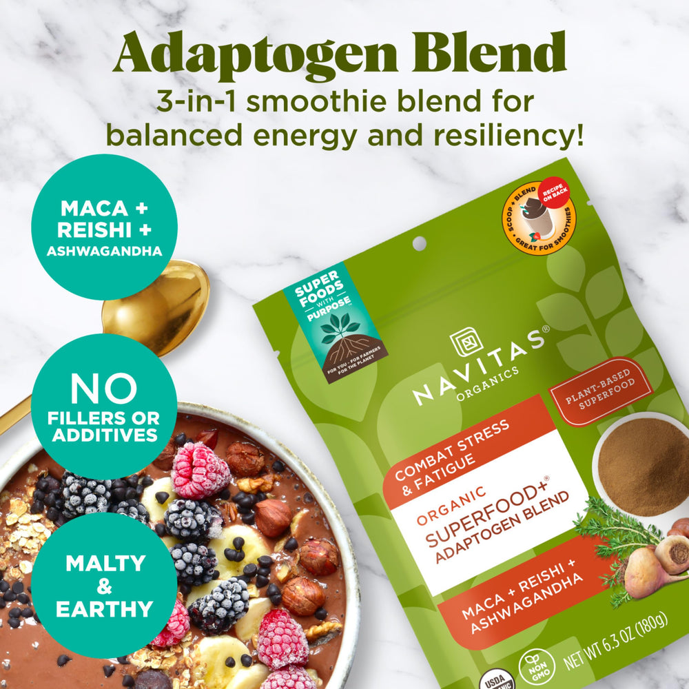 Spoonful of Navitas Adaptogen Blen added to oats for breakfast.