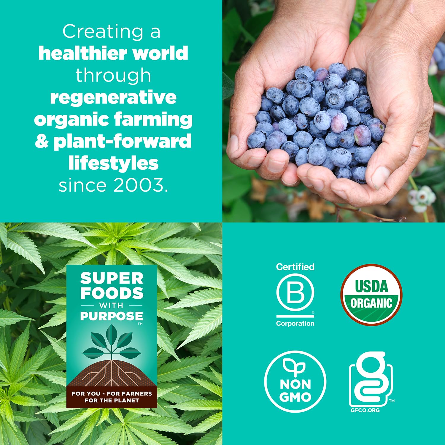 Navitas Blueberry Hemp Power Snacks on-the-go pack for travel and workouts.