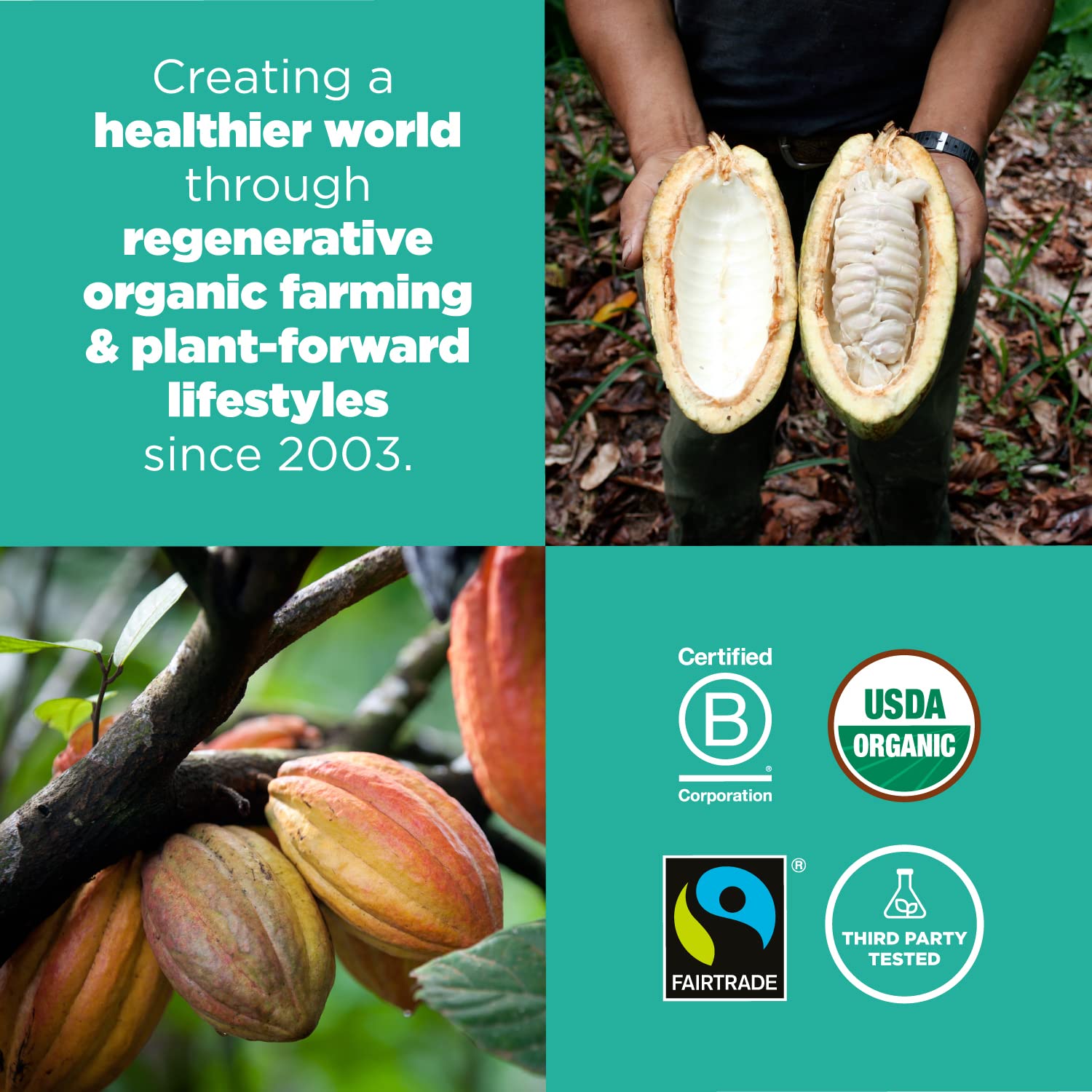 Navitas Organics Cacao Butter Wafers suitable for DIY body butter projects.