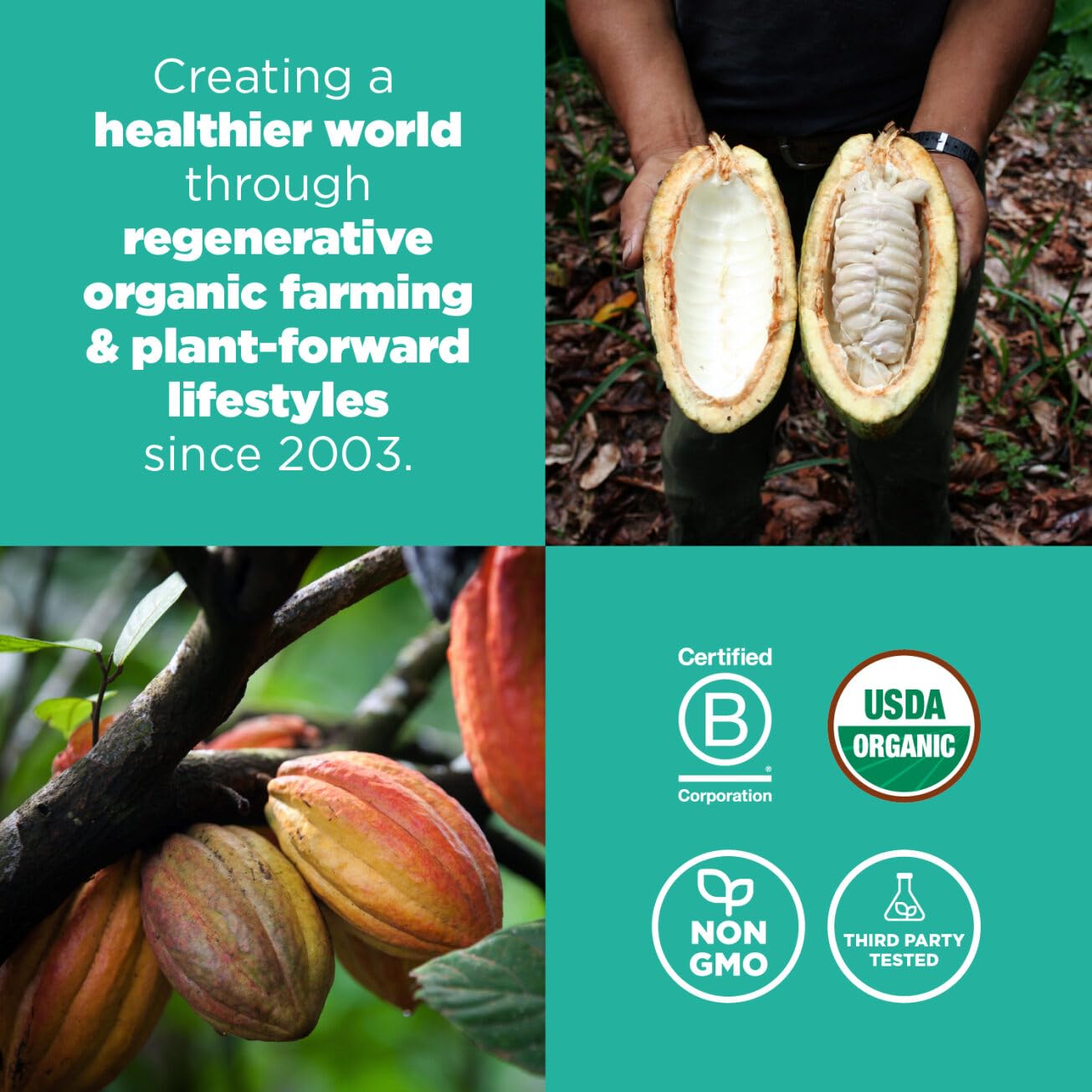 Navitas Organics cacao nibs for baking and snacking options