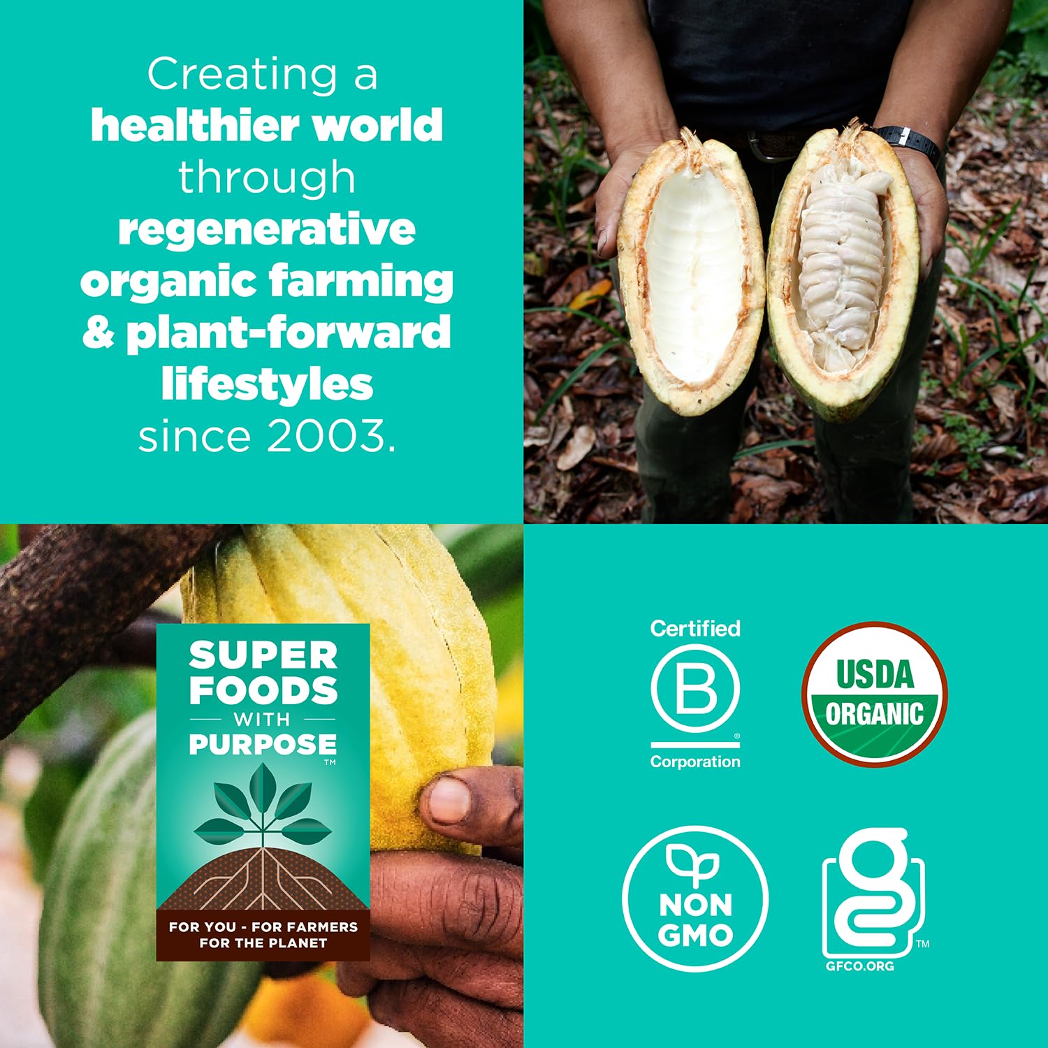 Plant-based ingredients showcased in Navitas Chocolate Brownie Bites for clean eating.