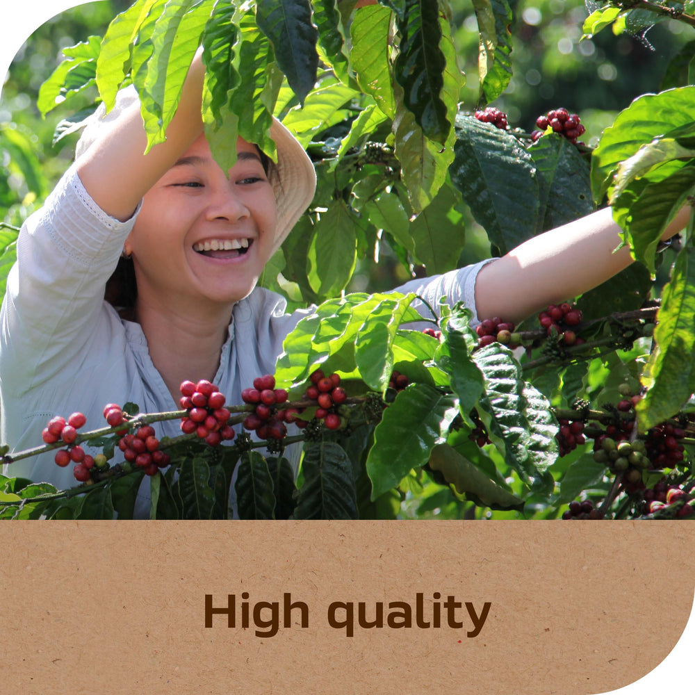 Ground coffee texture preview for NESCAFÉ Taster's Choice House Blend