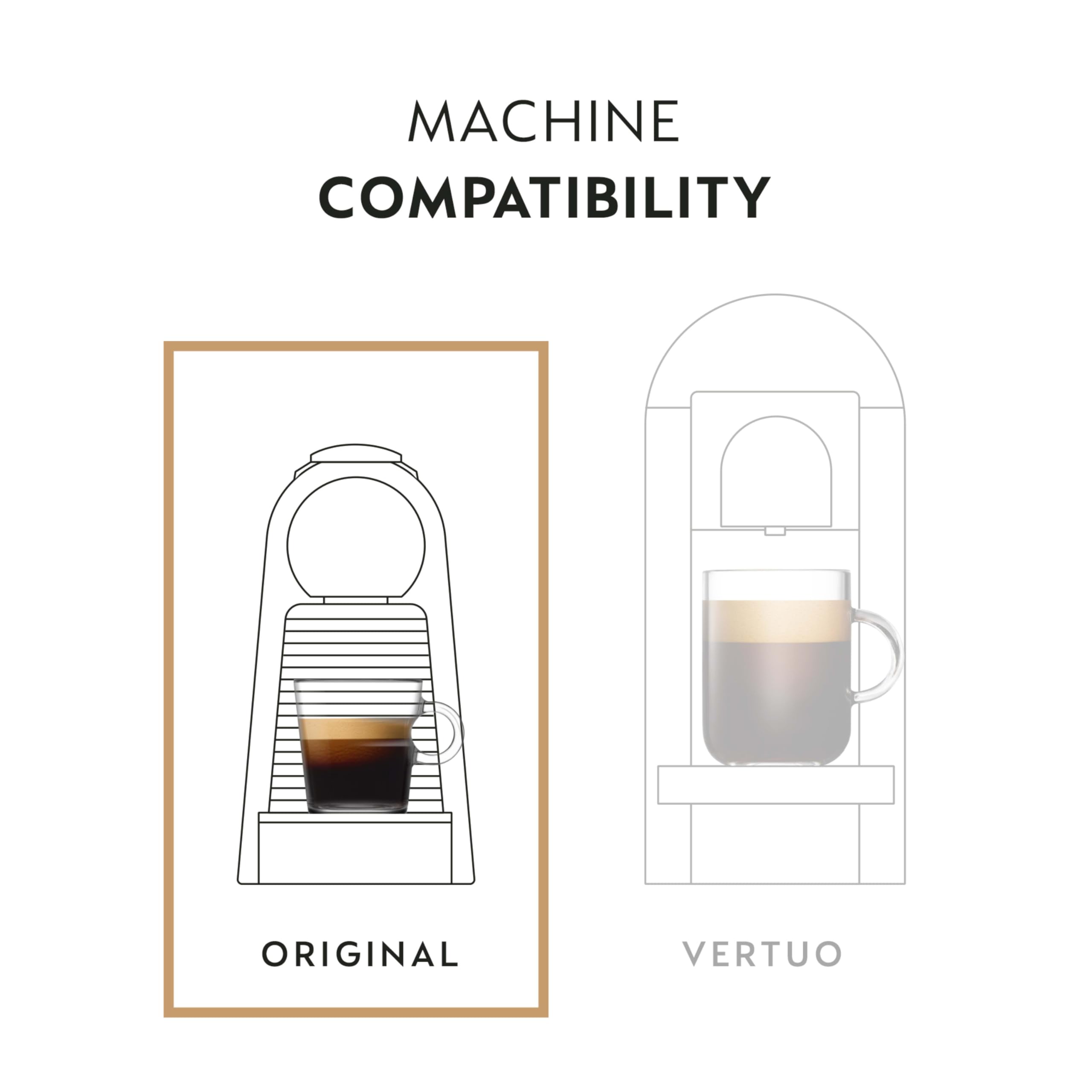 Swirled coffee in a cup showing hazelnut and praline notes.
