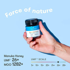 New Zealand Honey Co. 8.8oz jar close-up, convenient daily size.