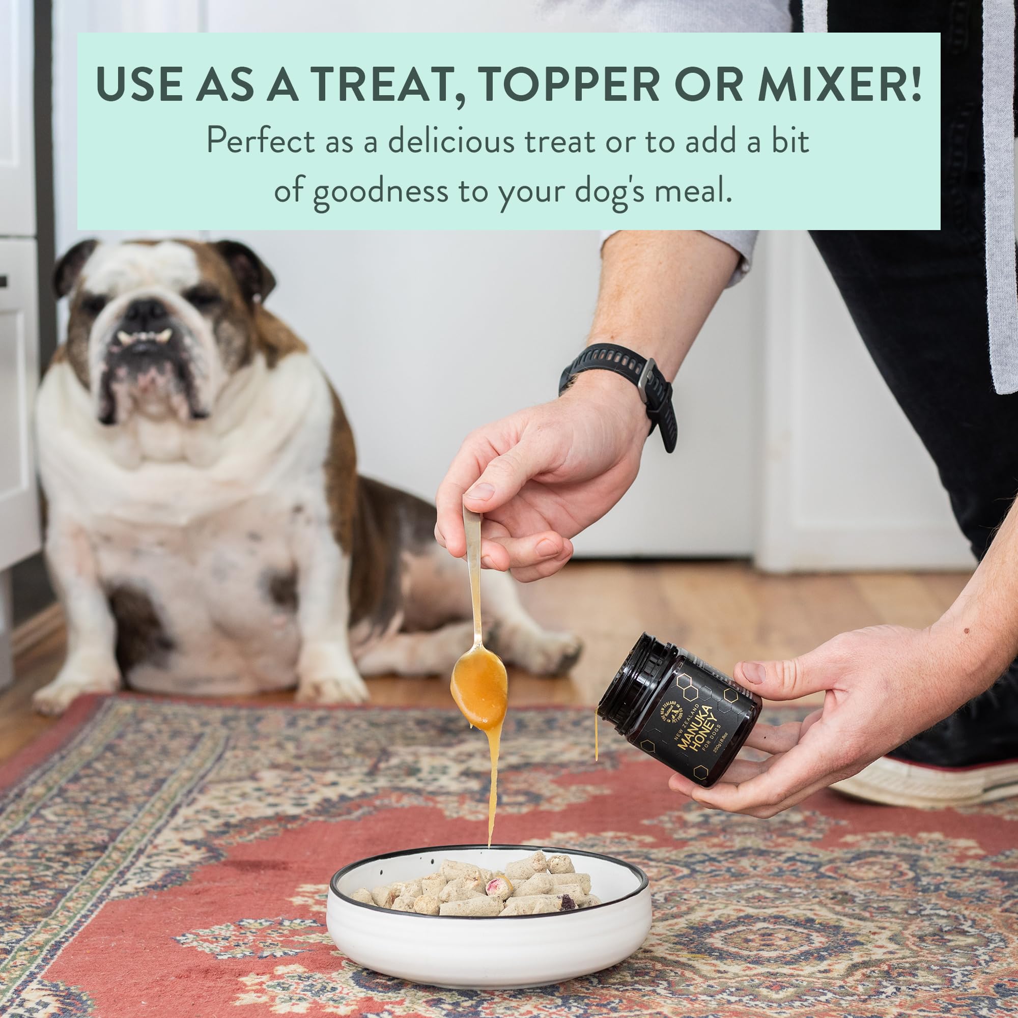 The New Zealand Natural Pet Food Co Woof Manuka Honey dog treats serving suggestions on a plate.