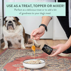 The New Zealand Natural Pet Food Co Woof Manuka Honey dog treats serving suggestions on a plate.