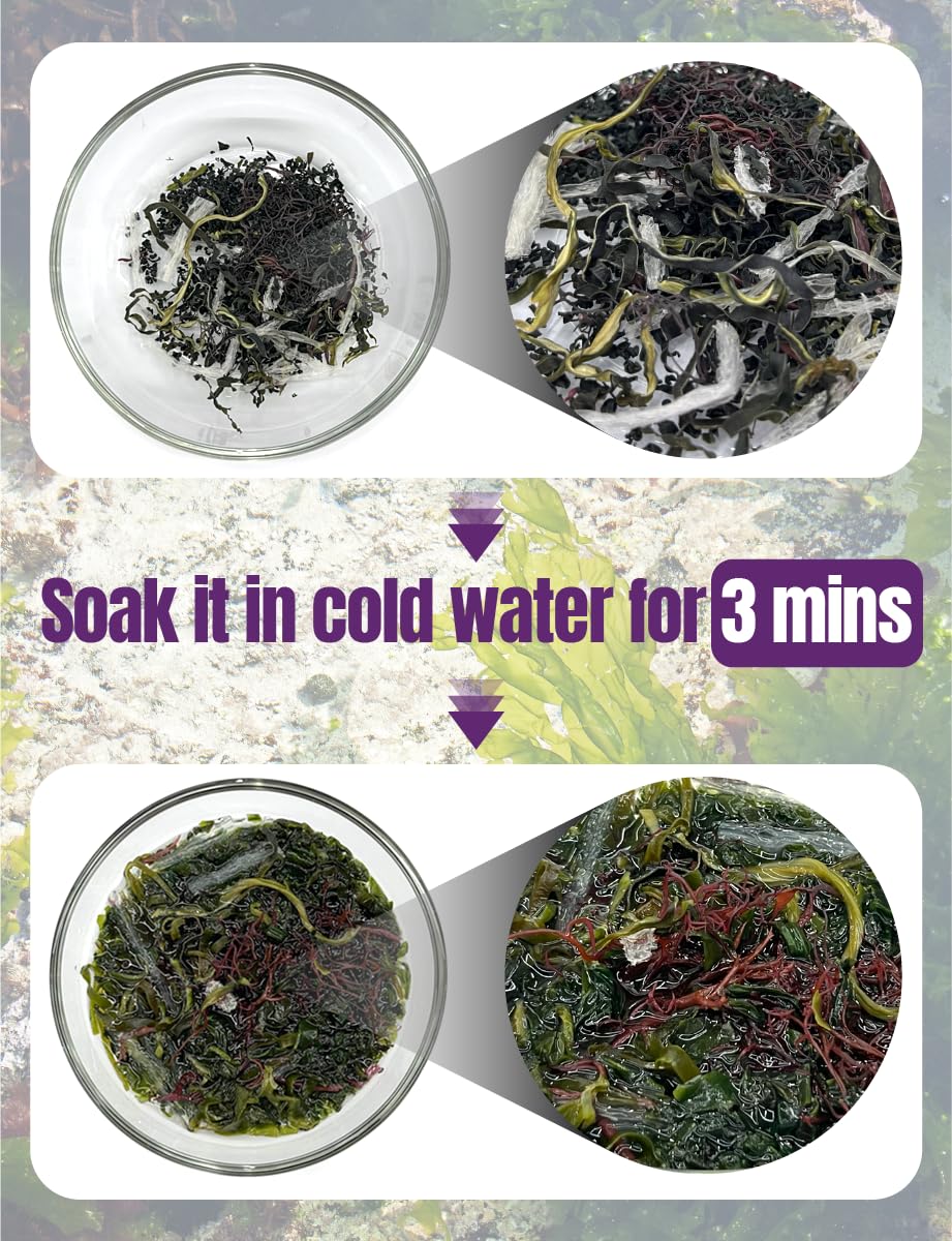 Nice Witch's Korean Assorted Seaweed Salad pack open reveals glossy greens