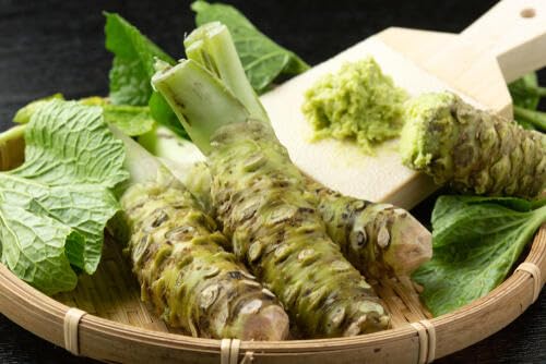 NIHON ICHIBAN Wasabi Paste with mayo dressings for a spicy kick.
