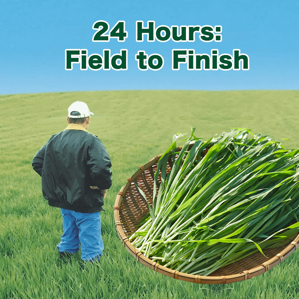 Kin no Aojiru Japanese grown barley grass with vibrant color