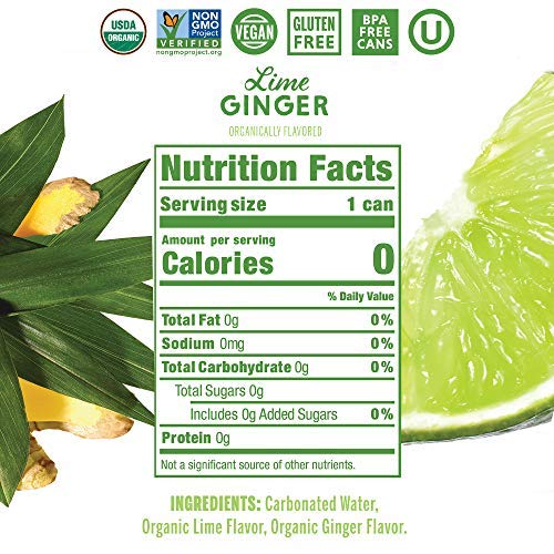 Fridge-ready Nixie Lime Ginger cans that are sugar-free and sodium-free