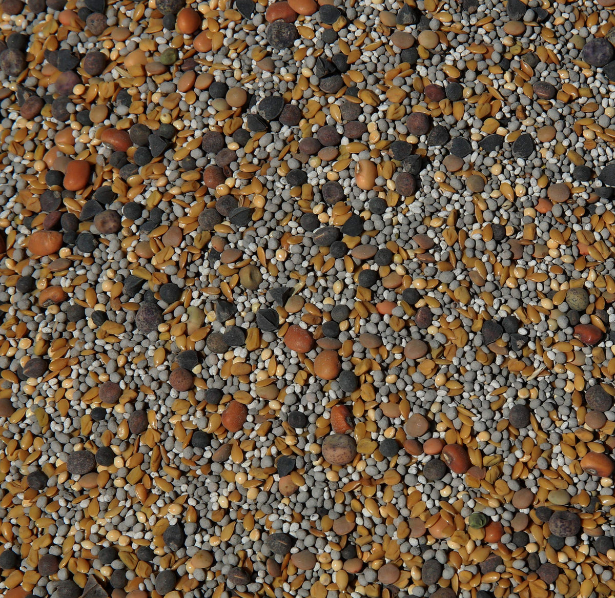 No-Till Solutions 13-Seed Mix bag front view for soil cover