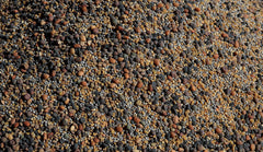 No-Till Solutions 13-Seed Mix field-planting demonstrates cover crop setup