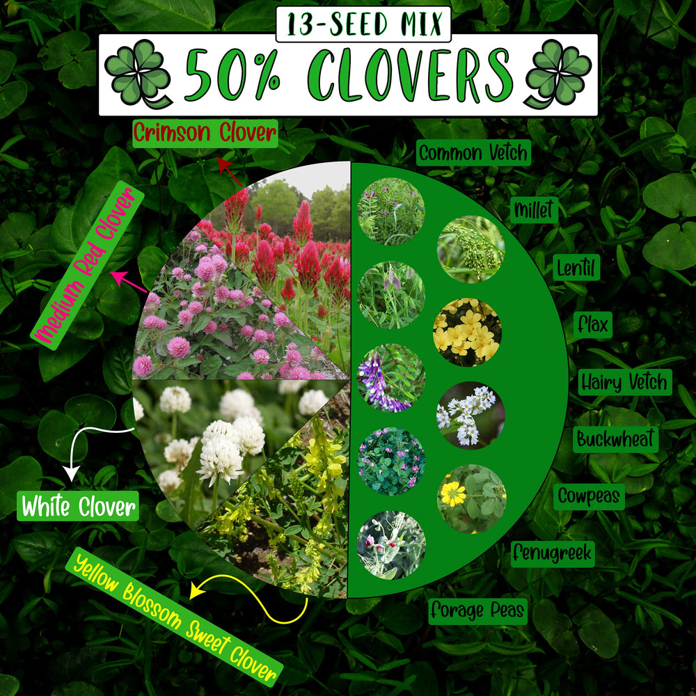 No-Till Solutions 13-Seed Mix seeds up close highlighting diverse clovers