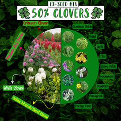 No-Till Solutions 13-Seed Mix seeds up close highlighting diverse clovers