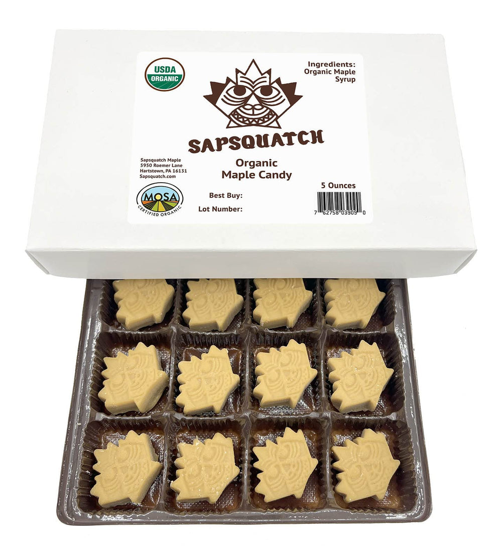 Nova Maple Syrup Sapsquatch box with 12 maple candy pieces, ideal for gifting.