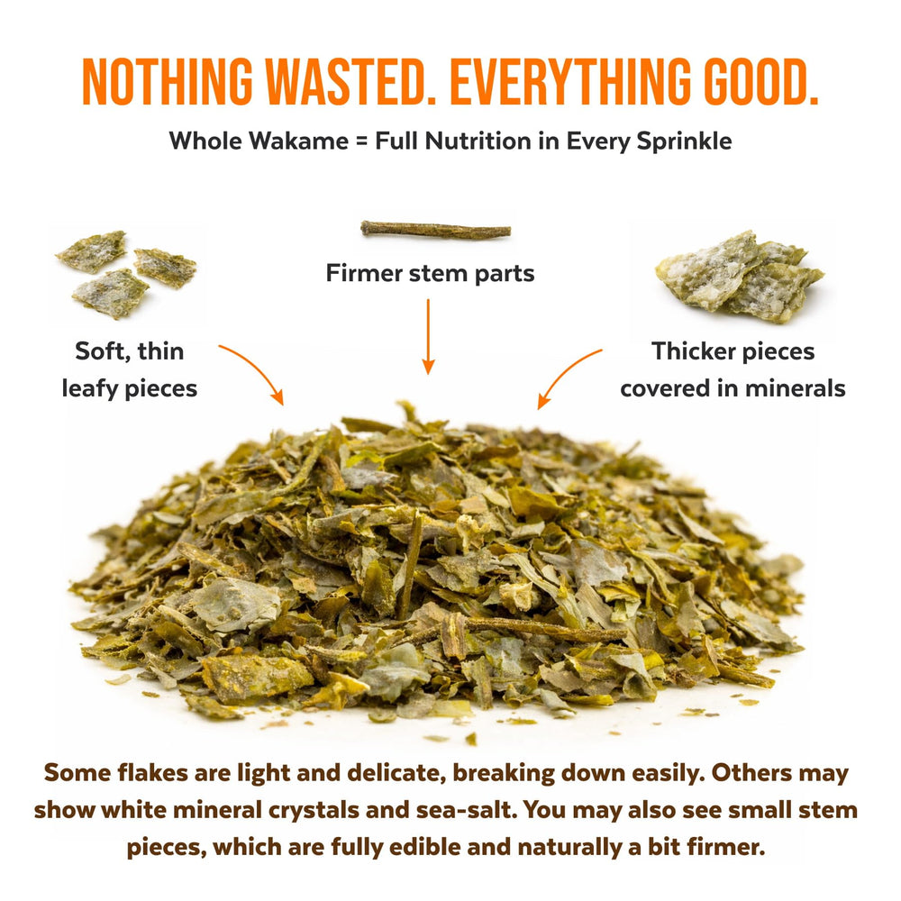 Atlantic-farmed seaweed by Numami, clean waters and sustainable sourcing.