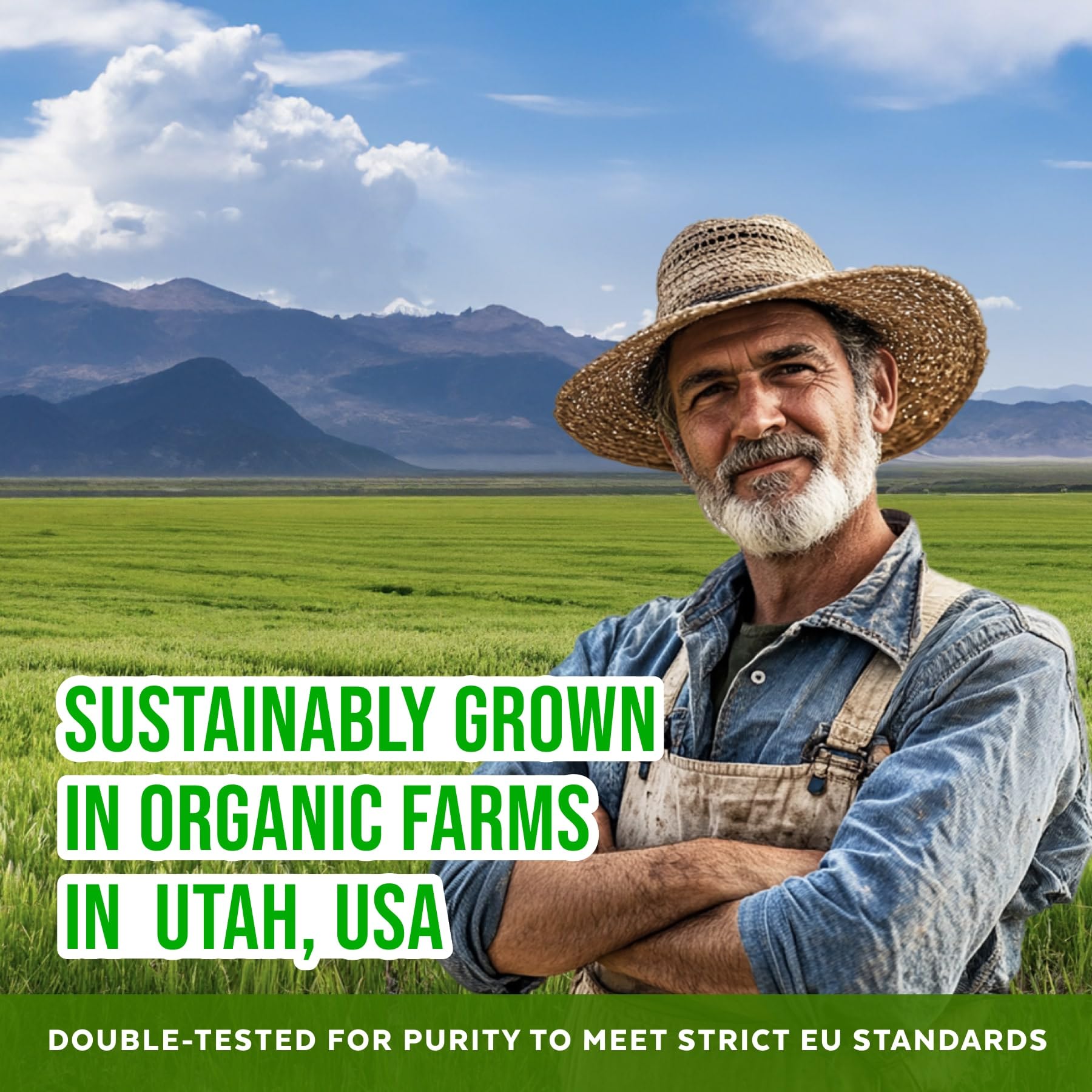 Numami Barley Grass Juice Powder USA-grown greens.