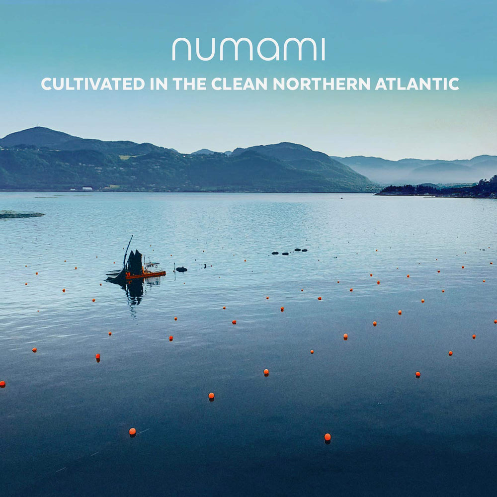 Numami vacuum-dried dulse detail emphasizes concentrated nutrients