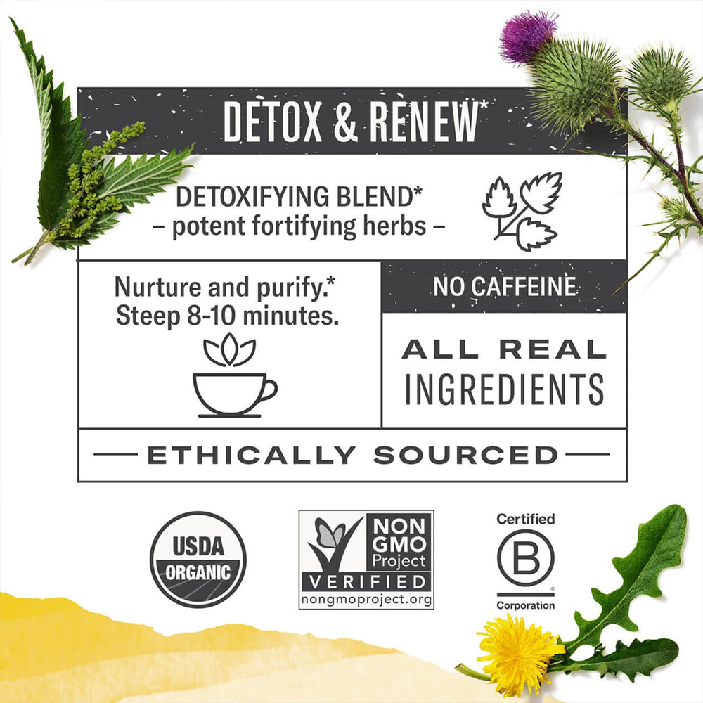 Numi Dandelion Detox Tea ingredients chart featuring dandelion, nettle, and burdock
