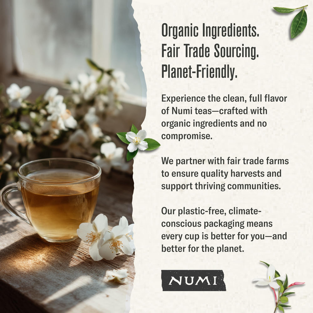 Numi jasmine tea bags in box showcasing convenient everyday tea ritual