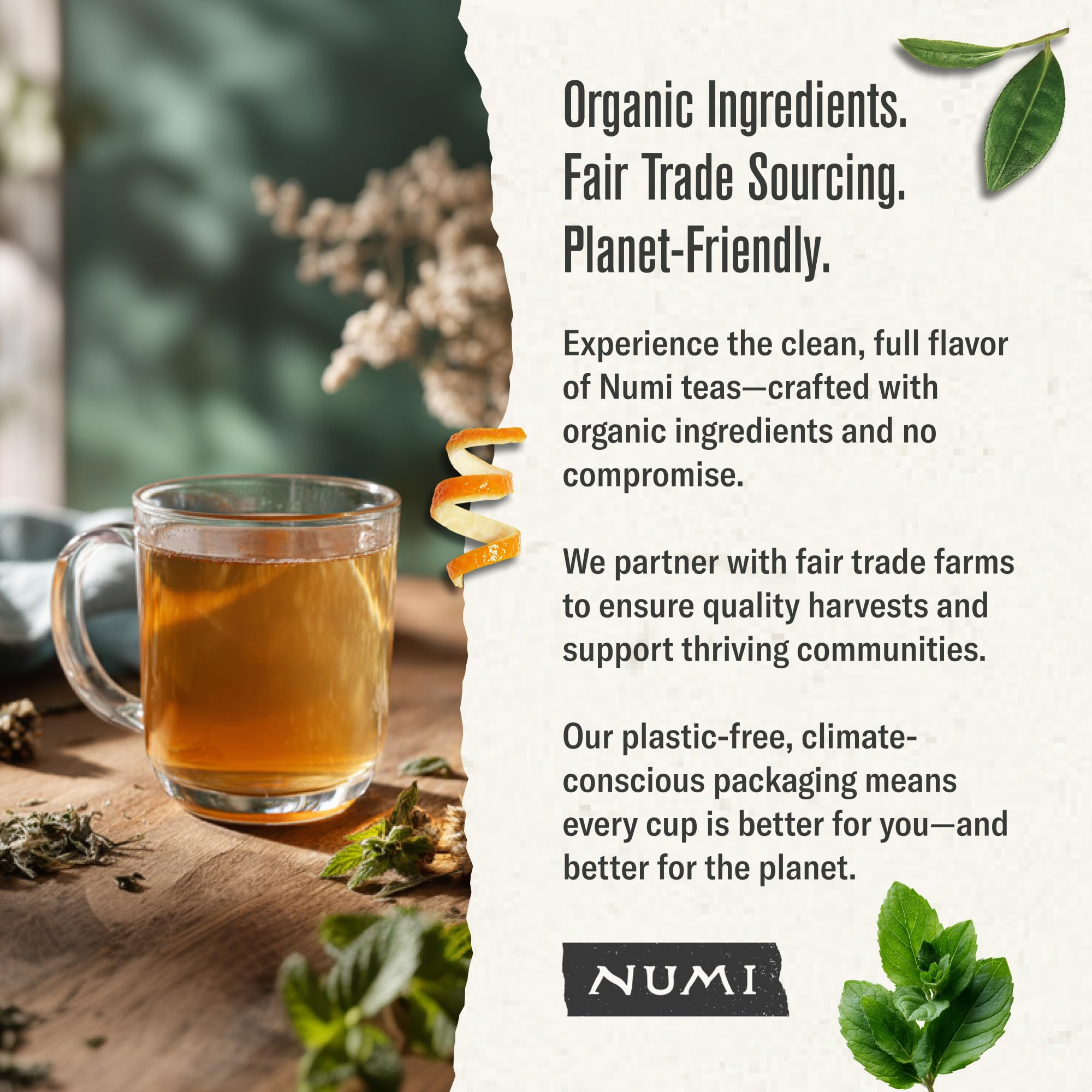 Numi Moroccan Mint Tea cup with mint for post-meal refreshment.