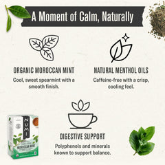 Numi Moroccan Mint Tea brewing with hot water and mint aroma.