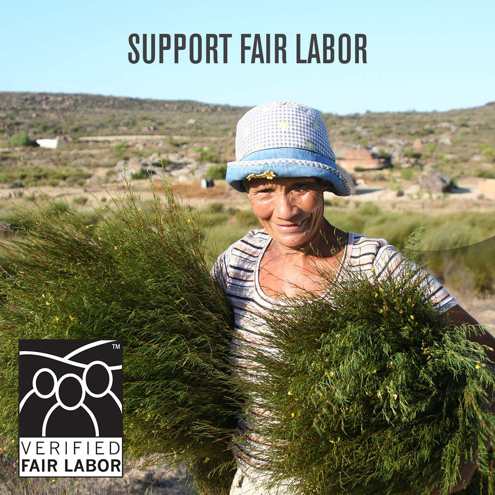 Numi Organic Rooibos with Fair Labor label supporting growers