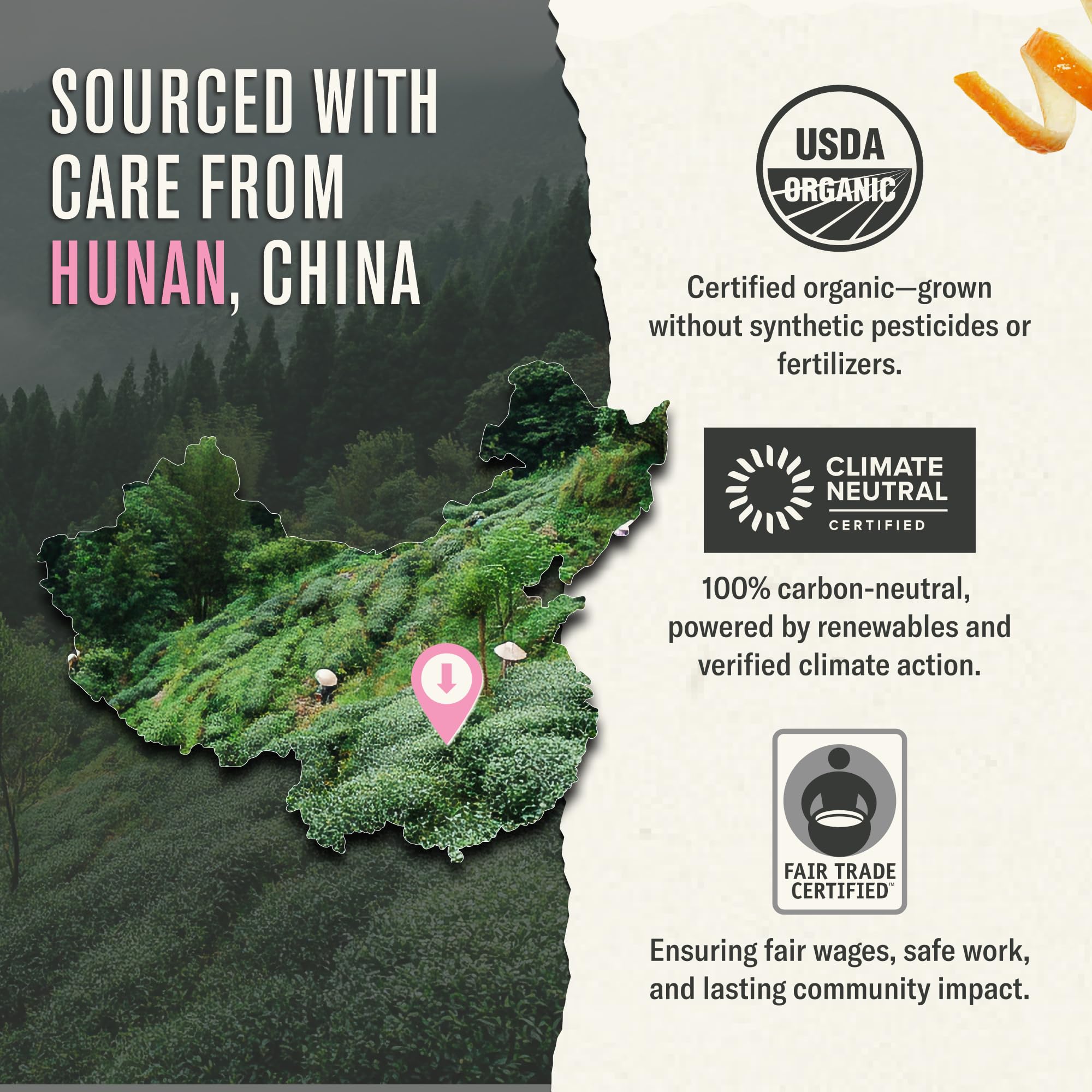Organic full-leaf tea bags from Numi ensure consistent brew