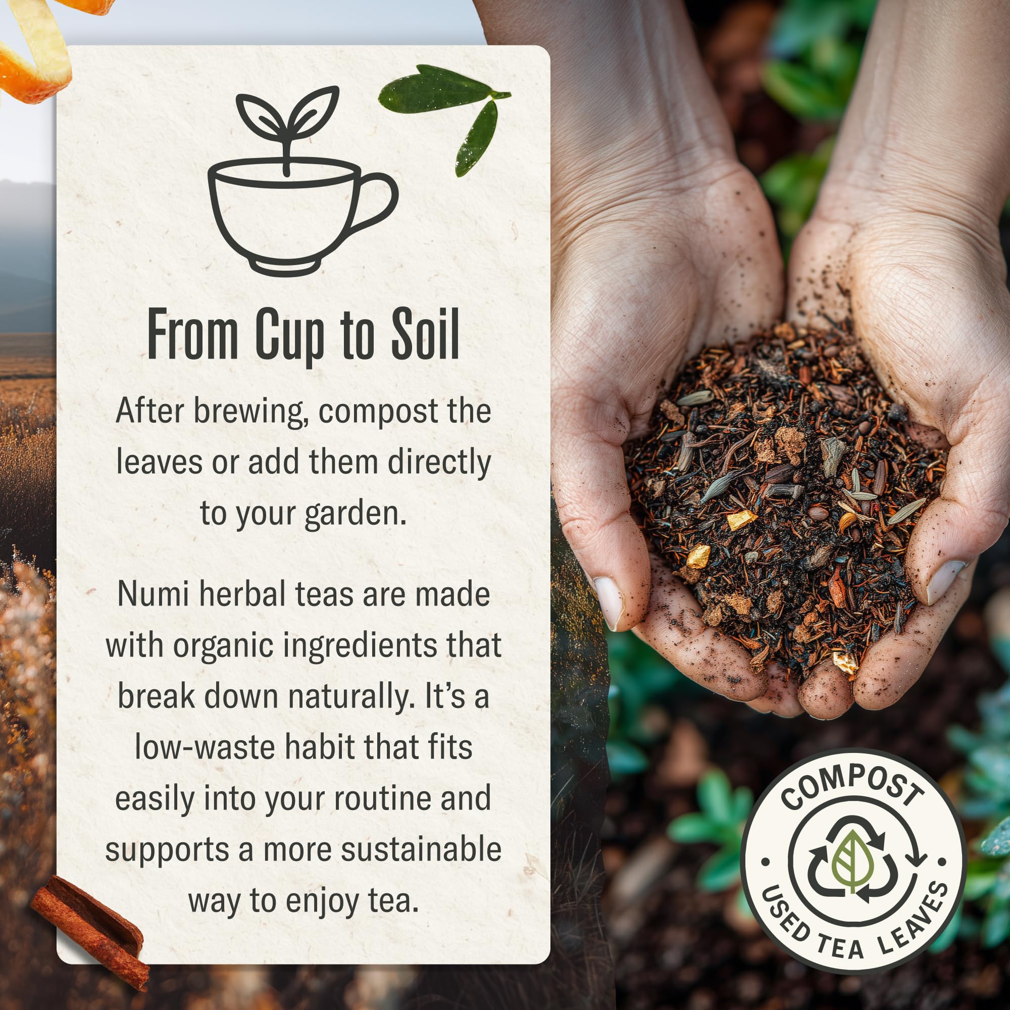 Numi Rooibos Chai packaging close-up, clean ingredients and organic blend
