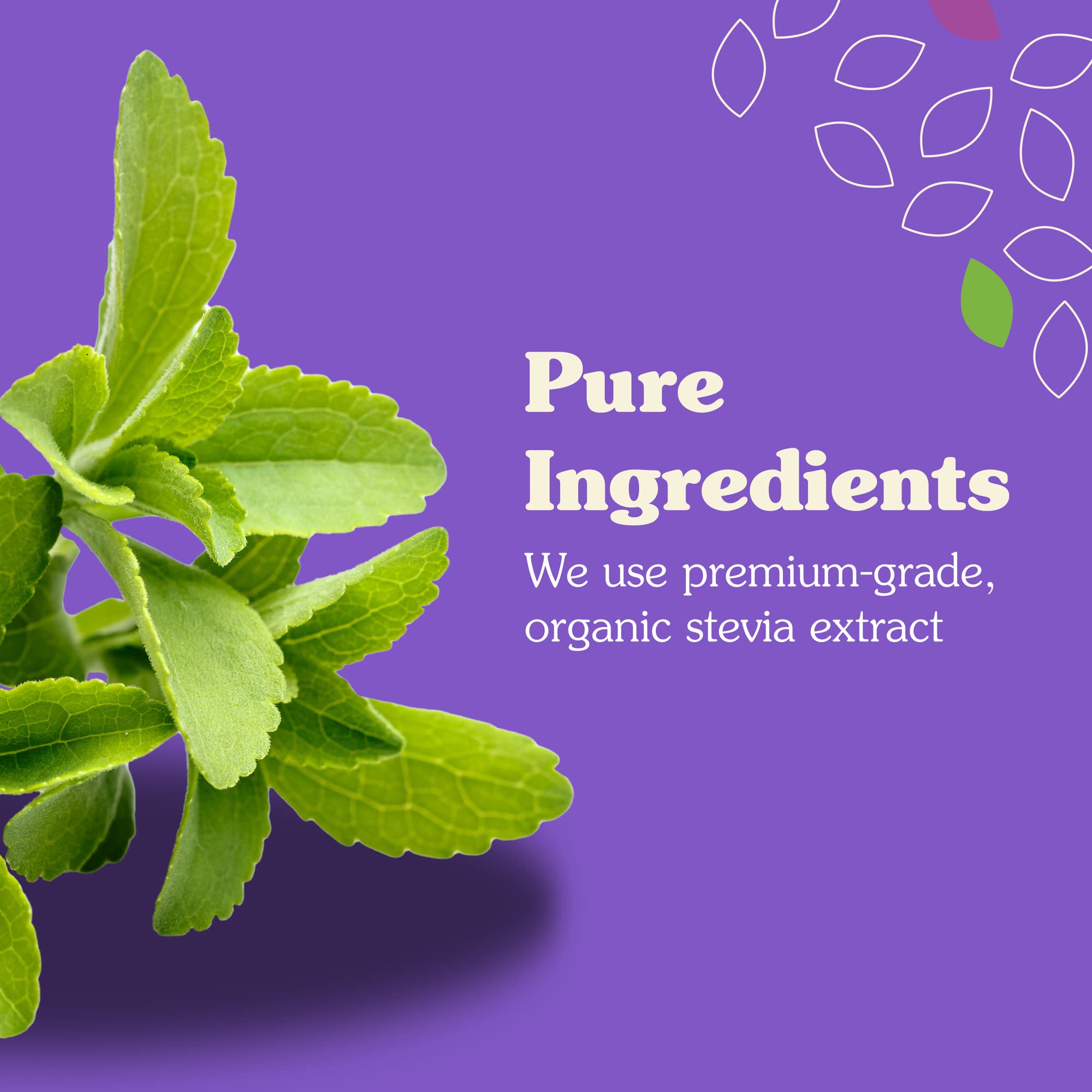 NuNaturals Stevia Syrup dessert topping adds sugar-free flavor to desserts