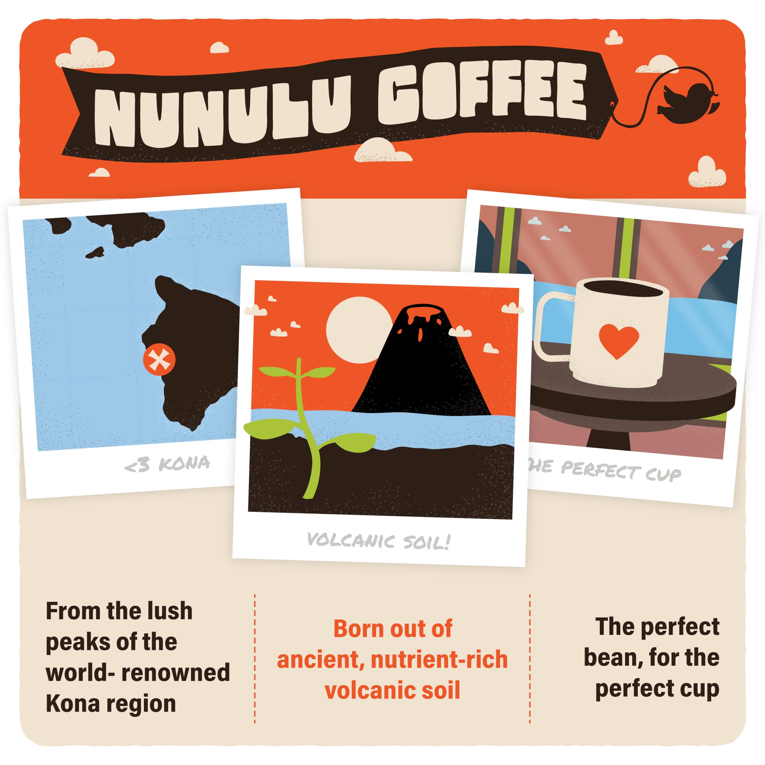 Farm-to-cup story behind Nunulu Kona coffee from harvest to roast.