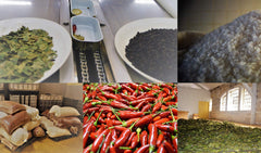 Nuri spiced tomato sauce olive oil sardines, perfect for antipasti plates.