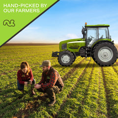 Nut Cravings Brazil nuts used in baking for rich flavor and texture.
