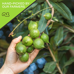 Nut Cravings resealable bag keeps macadamias fresh after opening.